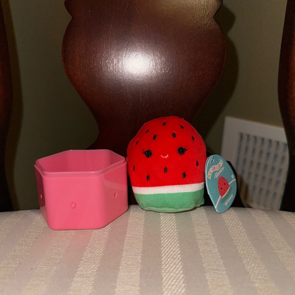 2.5” Winsey the Watermelon NWT Micromallow Squishmallow